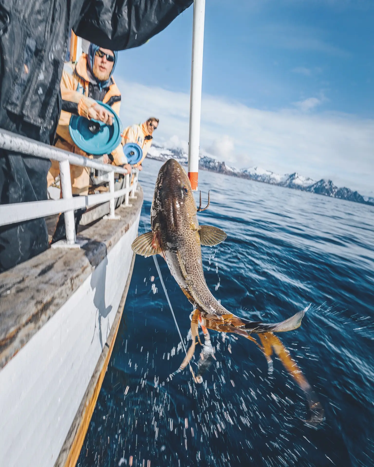 Captura de un pez durante una jornada de pesca deportiva en aguas abiertas