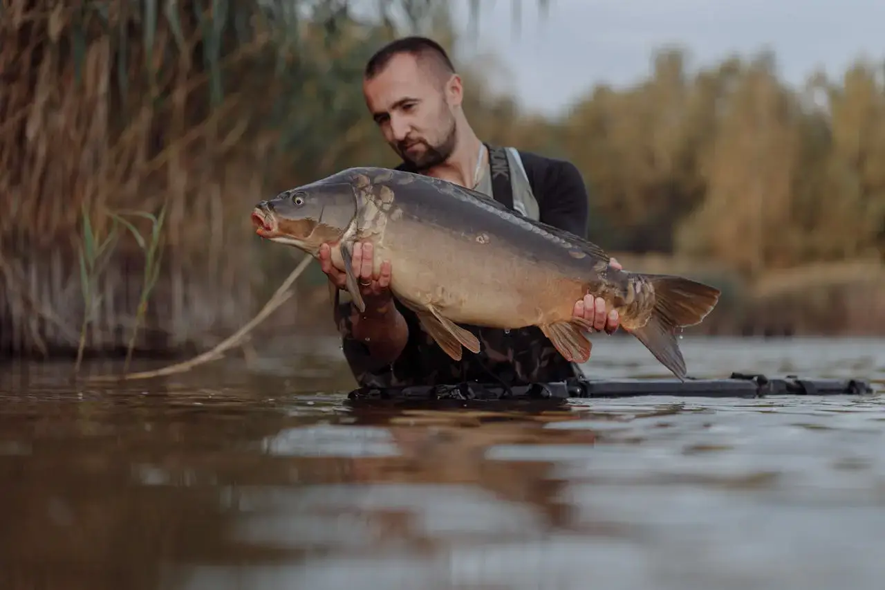 Pescador sujetando una carpa de gran tamaño capturada en aguas de Bulgaria